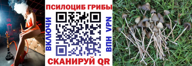 Галлюциногенные грибы ЛСД  Купить закладки  Воронеж 