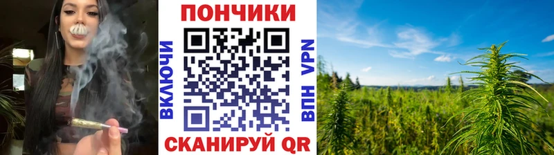 Шишки марихуана ГИДРОПОН  Купить  Воронеж 